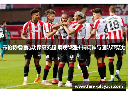 布伦特福德成功保级英超 展现顽强拼搏精神与团队凝聚力